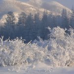 Paesaggio ghiacciato nei pressi di Ojmjakon