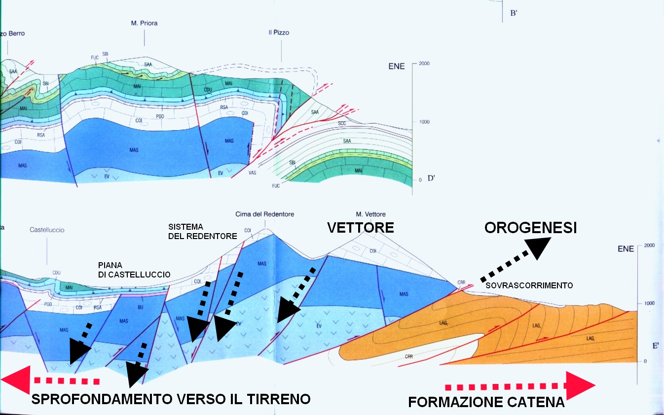 copia-di-pierantoni13vettore