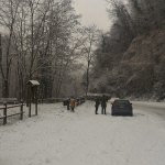 COLLINE PRATO