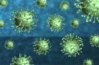 coronavirus-4958989_1920